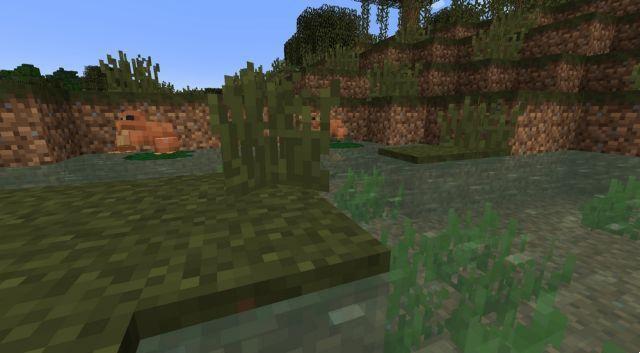 Minecraft: versión preliminar 1.19, Warden, Swamp y Ancient City, instantáneas